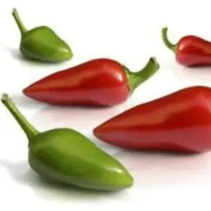 Pimienta picona