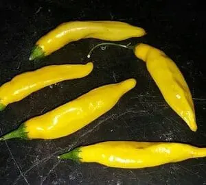Lemon drop