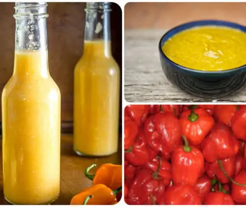 Habanero hot sauce recipe