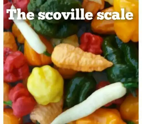 The scoville scale