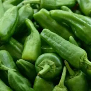 Pimiento Padron