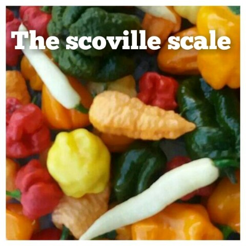 The scoville scale