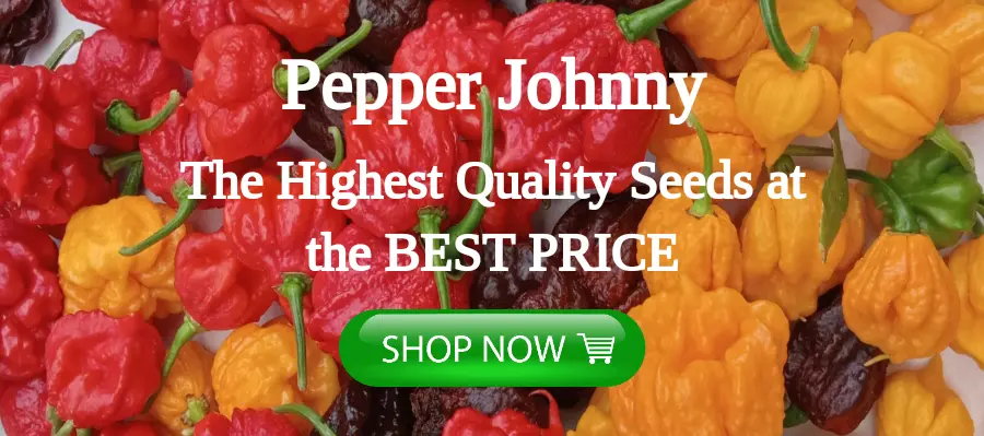 Hot pepper seeds